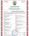 Градович Юлія Василівна